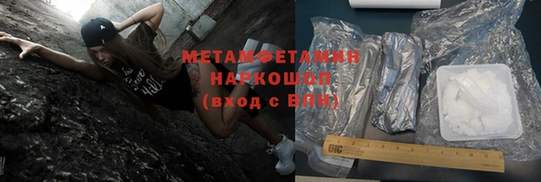 индика Аркадак