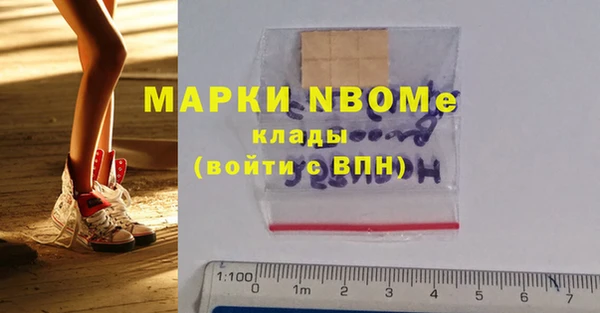 амф Новозыбков