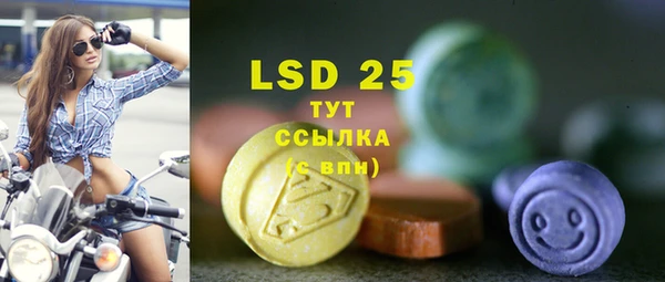 индика Аркадак