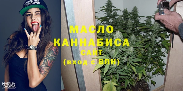 индика Аркадак