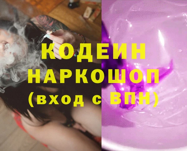 индика Аркадак