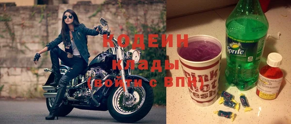 индика Аркадак